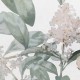 Honpo | Flower Field
